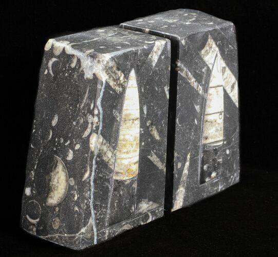 Polished Orthoceras Bookends - Morocco #61328